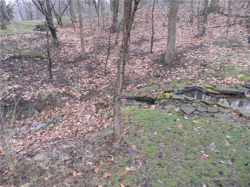 341 Crooks Road Apollo, PA 15613 - Photo 13 of 16 Yard/Garden. SPRING-FED BABBLING BROOK.