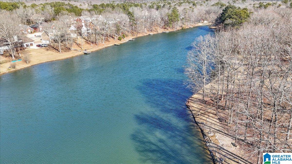 69 Rena Drive Springville, AL 35146 - Photo 55 of 56