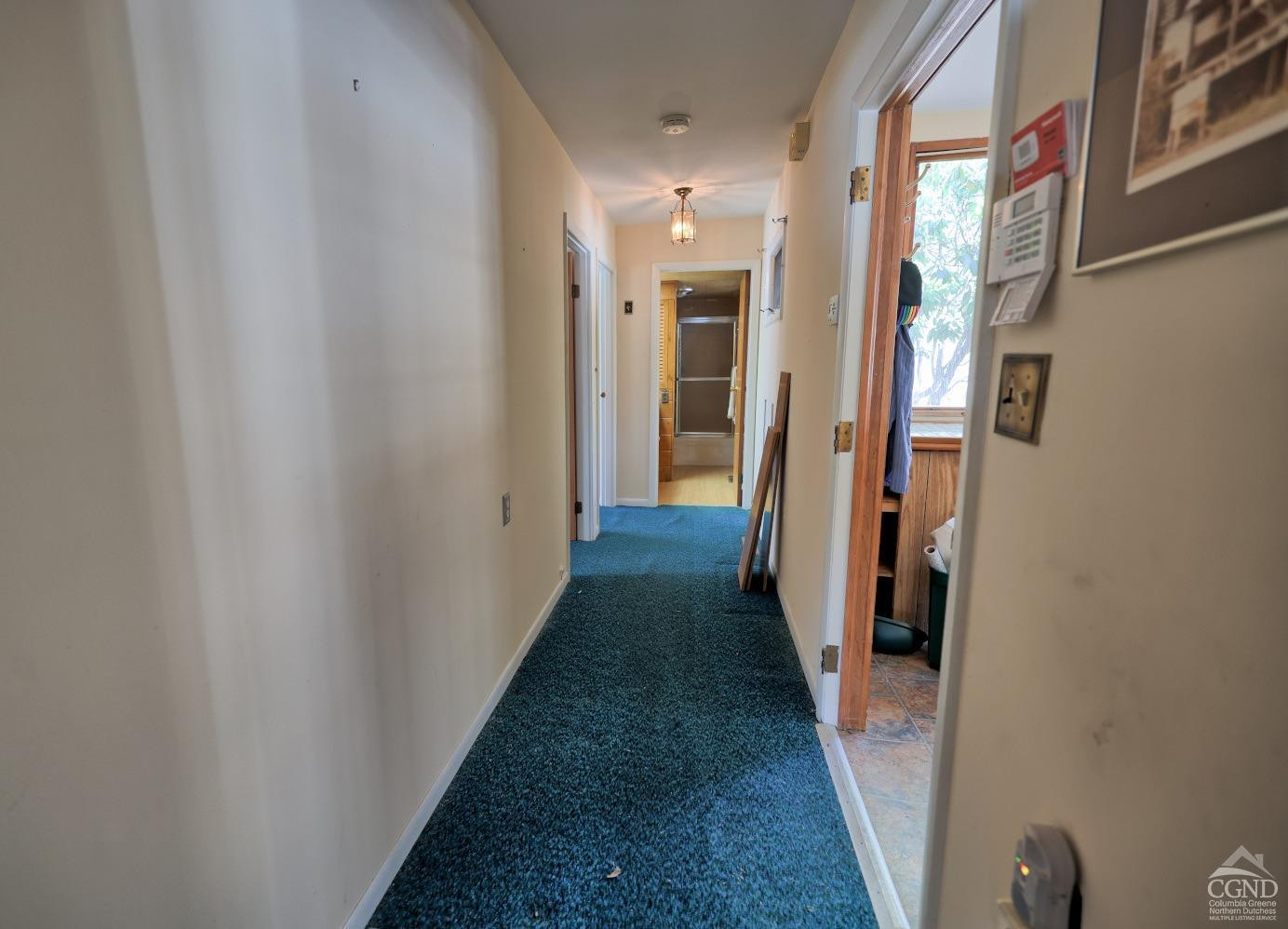 663 County Route 41 Cairo, NY 12413 - Photo 48 of 72 Photo 48