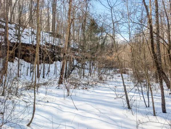 $1 | 13 Ayers Ridge Road, Lower Salem, OH 45745