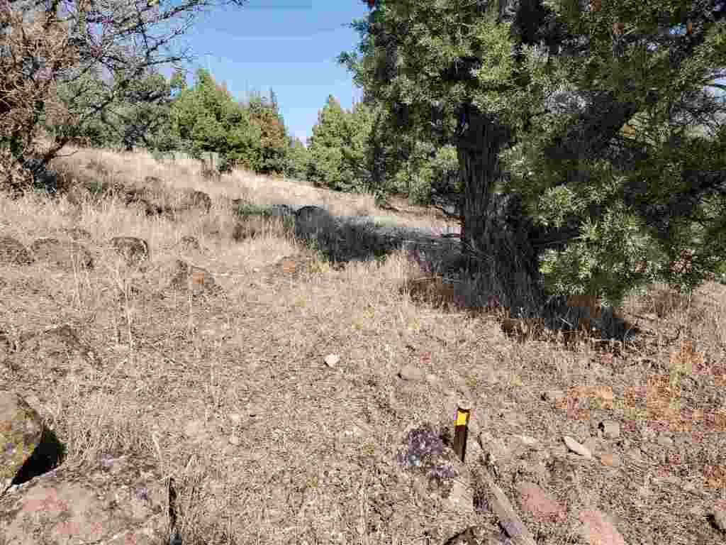 152 Dwinnell Road Weed, CA 96094 - Photo 13 of 26 Gallery Image 13