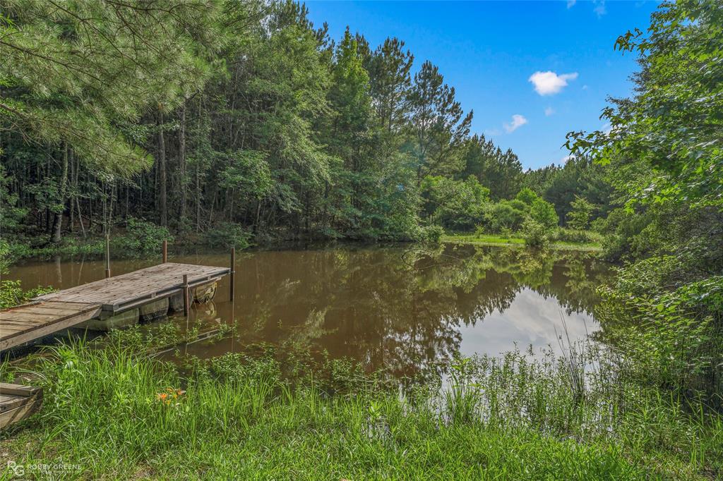 126 Oscar Kilpatrick Road Gibsland, LA 71028 - Photo 3 of 40