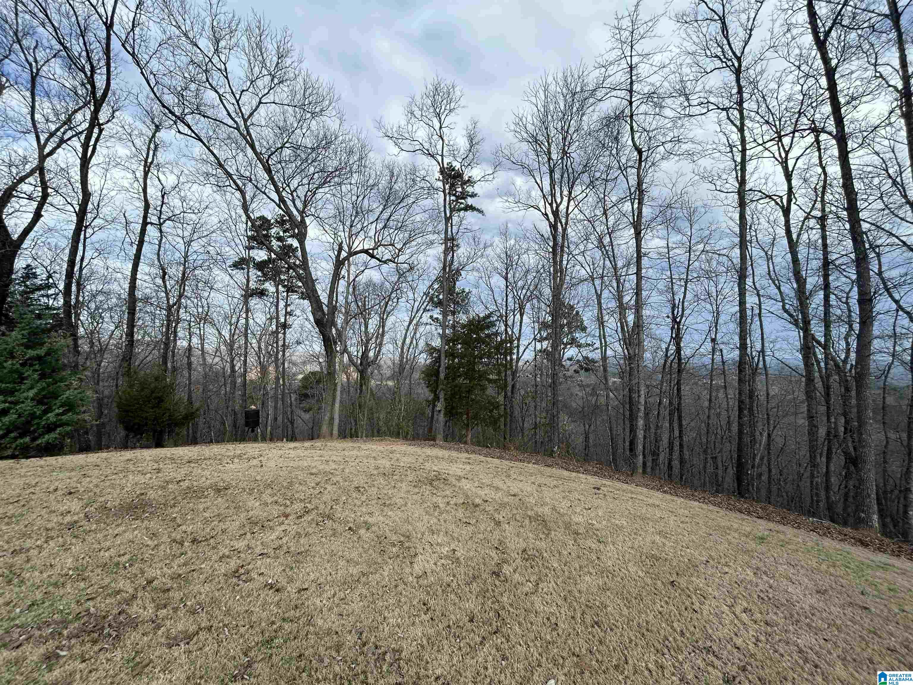 247 Middle Rdg Trail Springville, AL 35146 - Photo 58 of 58 Gallery Image 58
