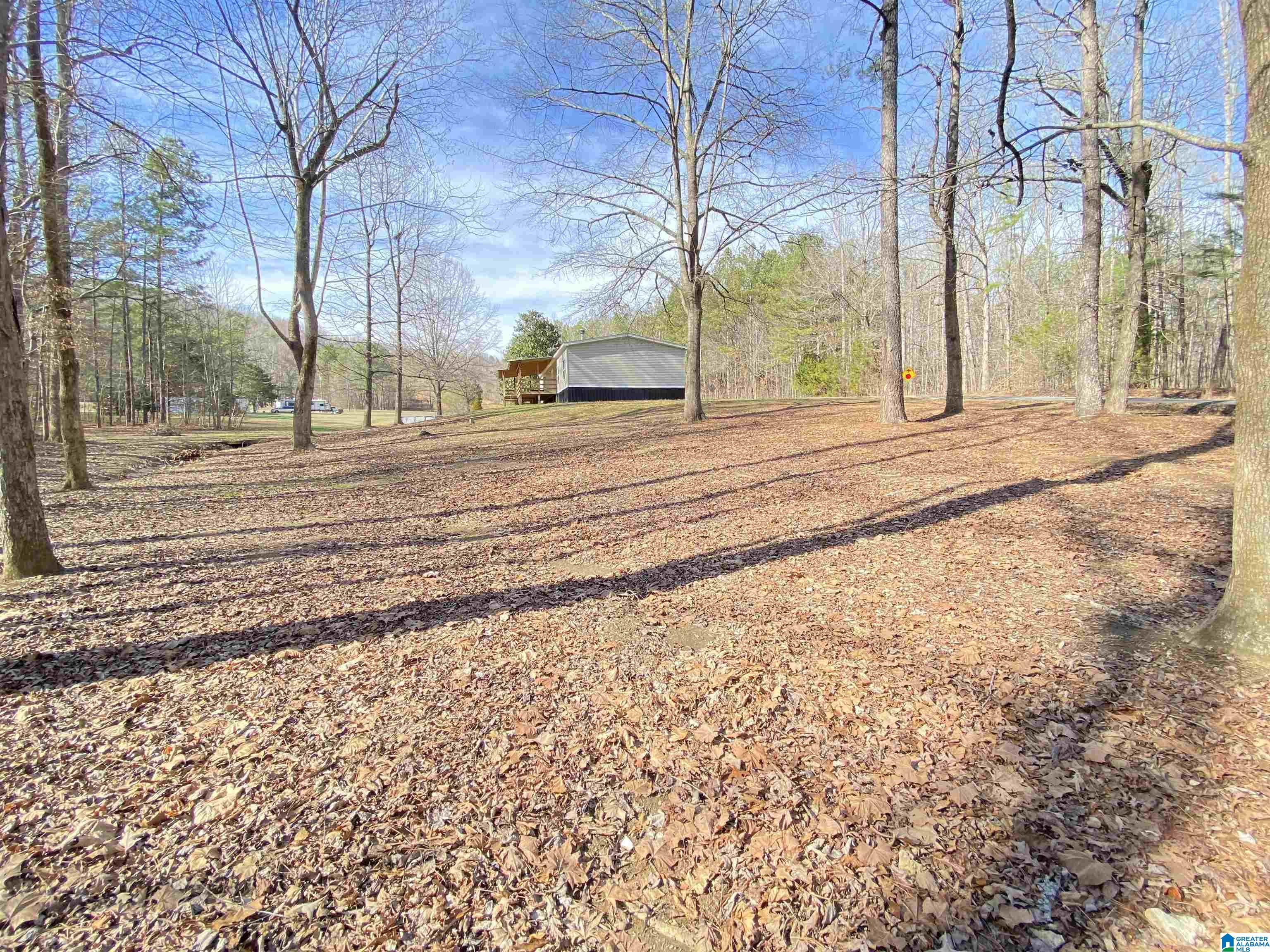 62 Curt Jarret Road Ashville, AL 35953 - Photo 24 of 77