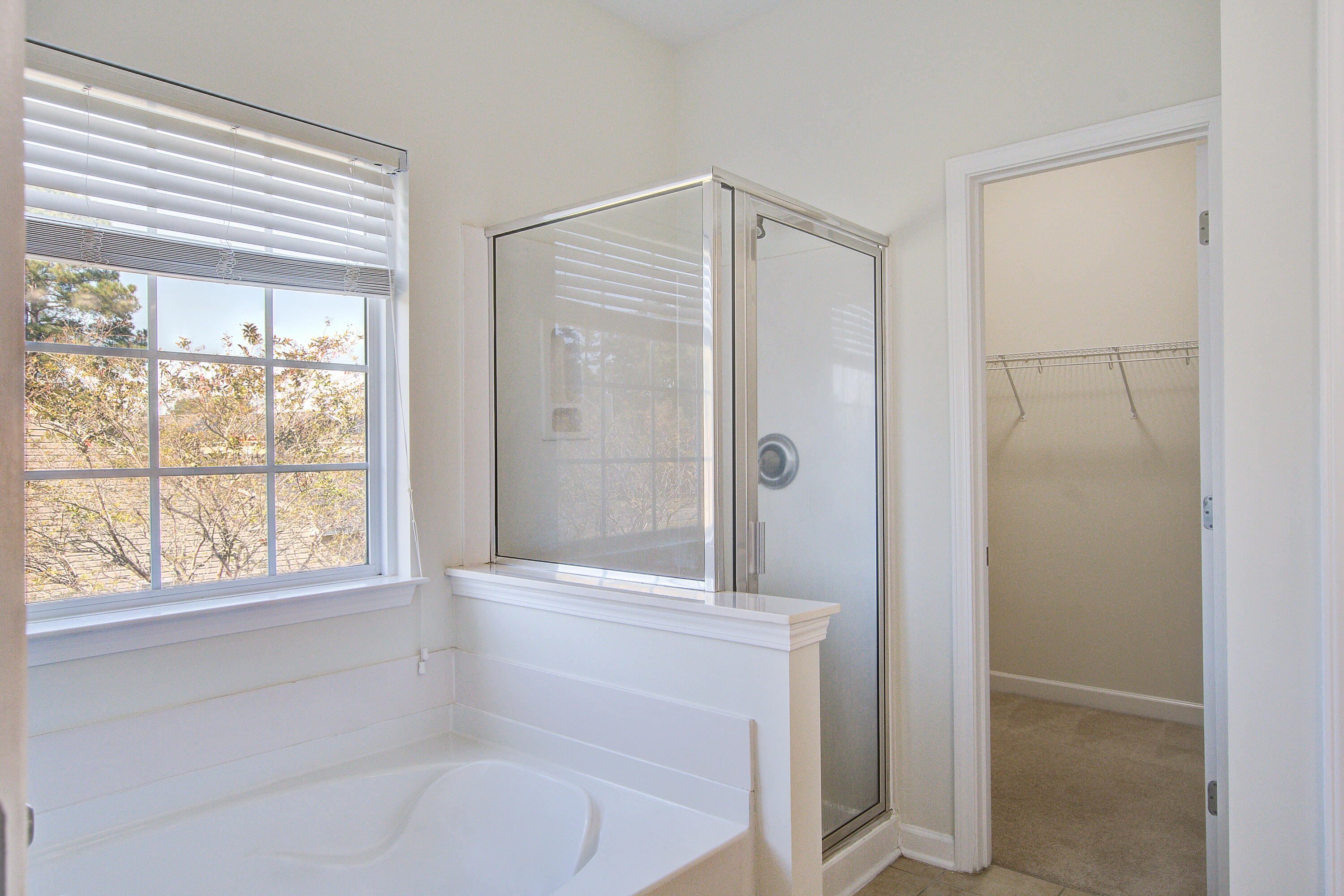 156 Red Leaf Boulevard Moncks Corner, SC 29461 - Photo 22 of 30 156 (22)