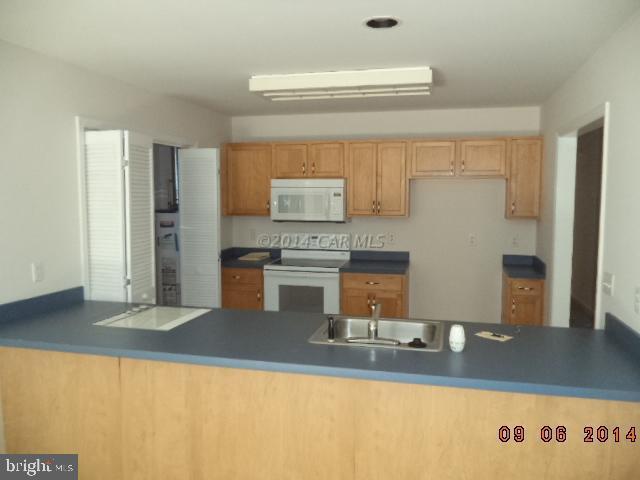 124 Sandyhook Road Berlin, MD 21811 - Photo 4 of 10
