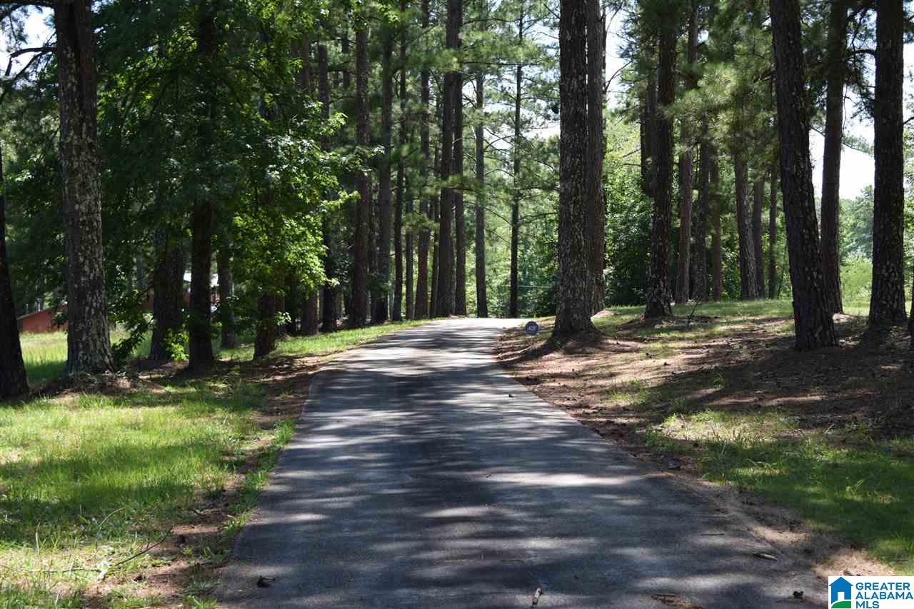 40 Armstrong Loop Hayden, AL 35079 - Photo 21 of 45