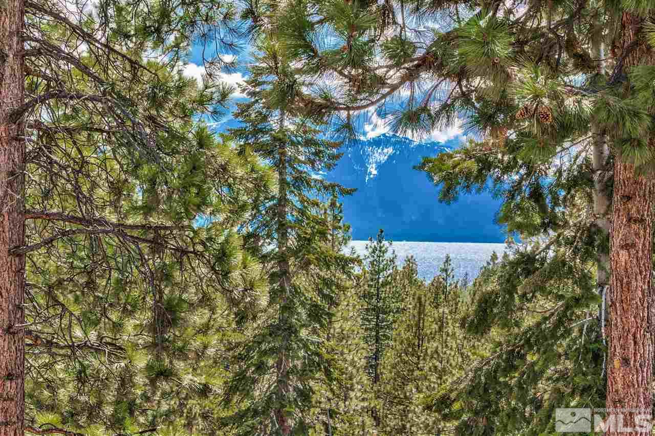 230 Chimney Rock Road Stateline, NV 89449 - Photo 2 of 25 a view of a tree with a yard