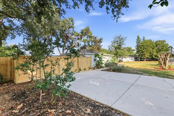 a view of a yard with plants and trees
