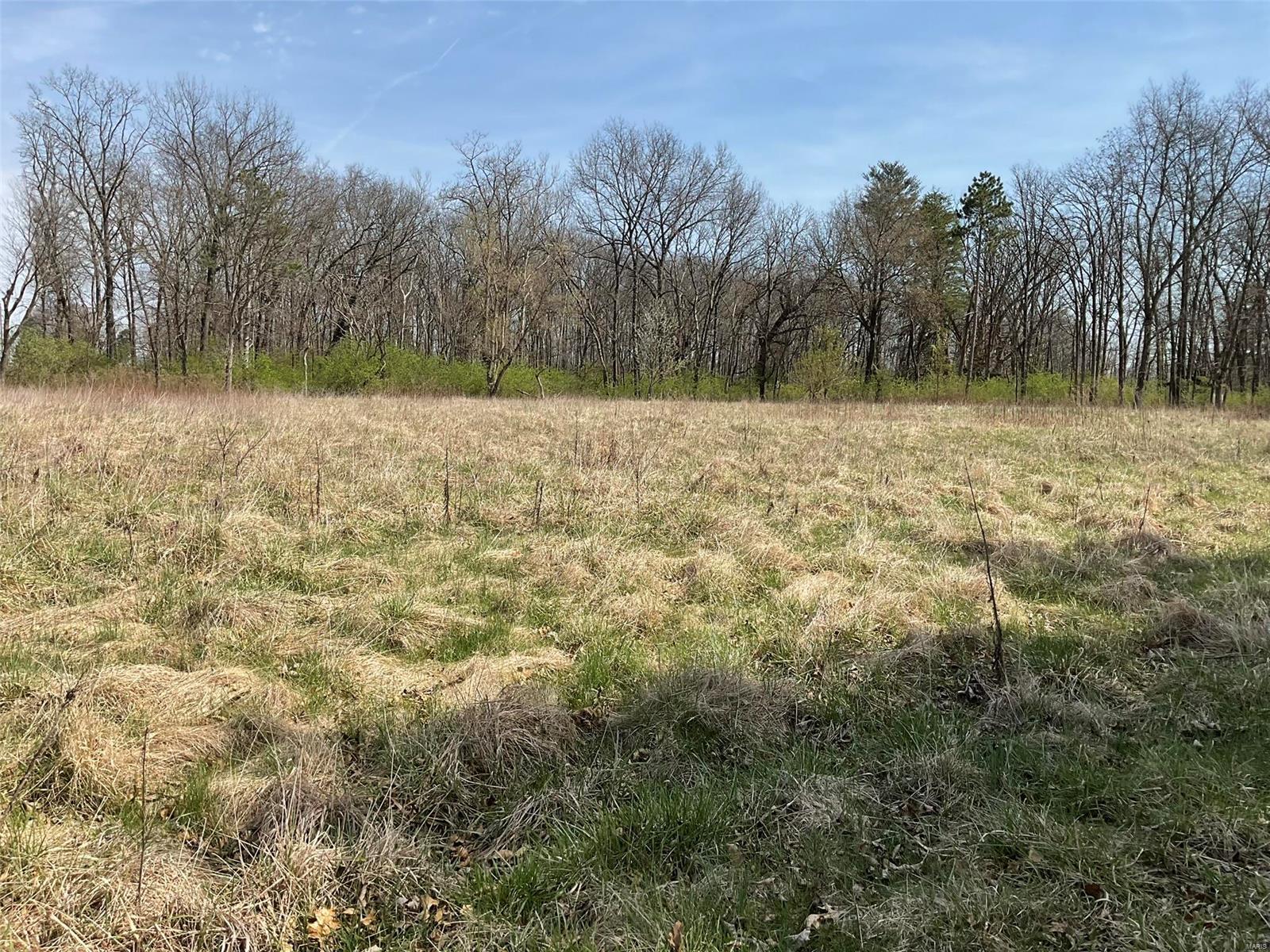 0 Libbra Road New Douglas, IL 62074 - Photo 1 of 15