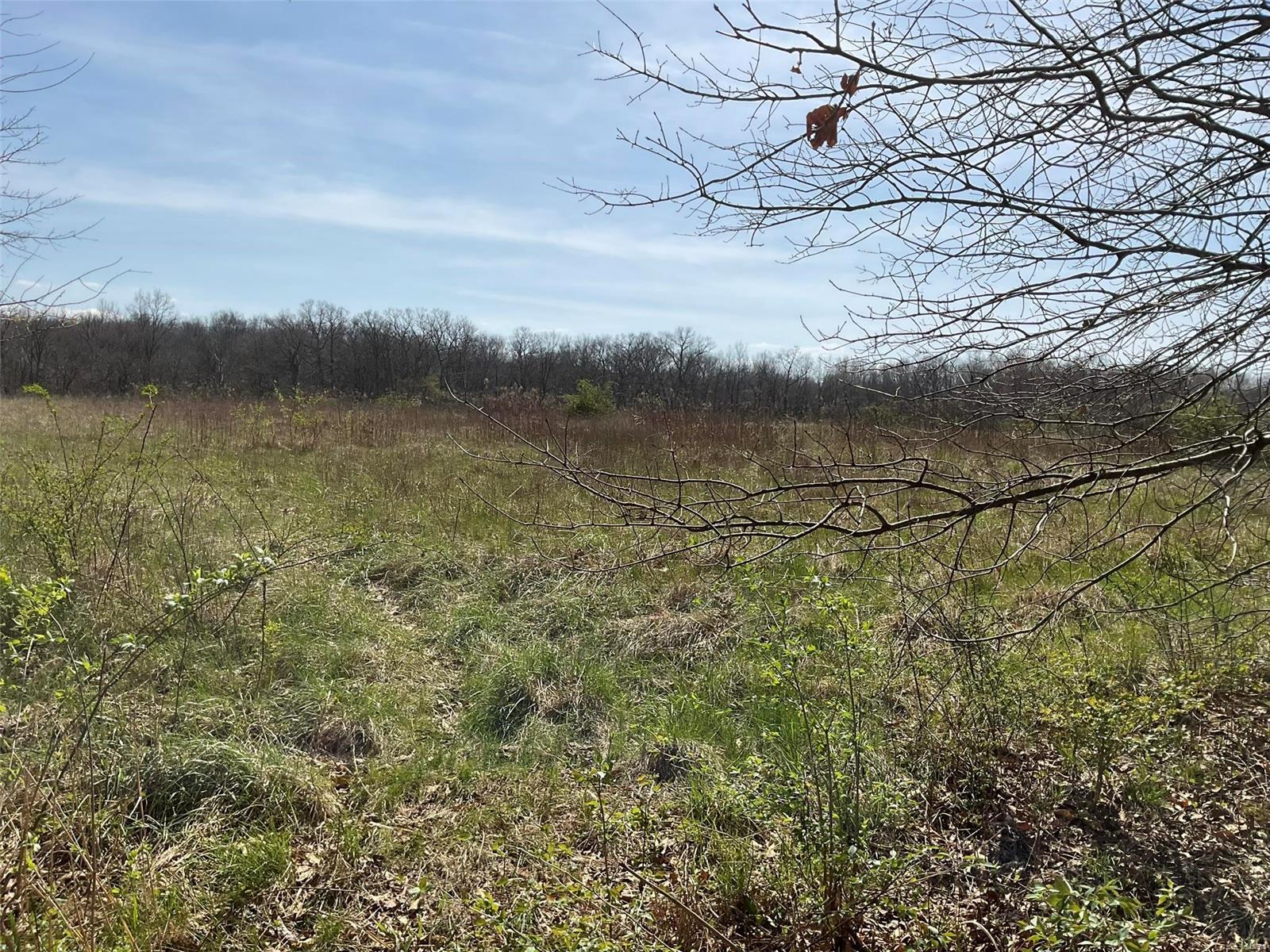 0 Libbra Road New Douglas, IL 62074 - Photo 12 of 15