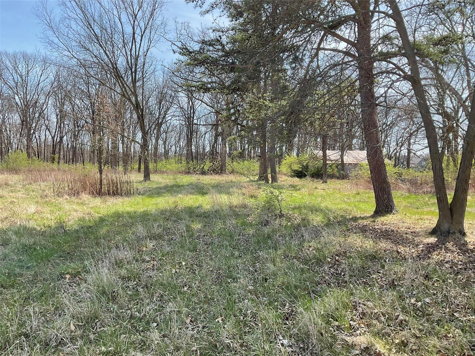 0 Libbra Road New Douglas, IL 62074 - Photo 2 of 15