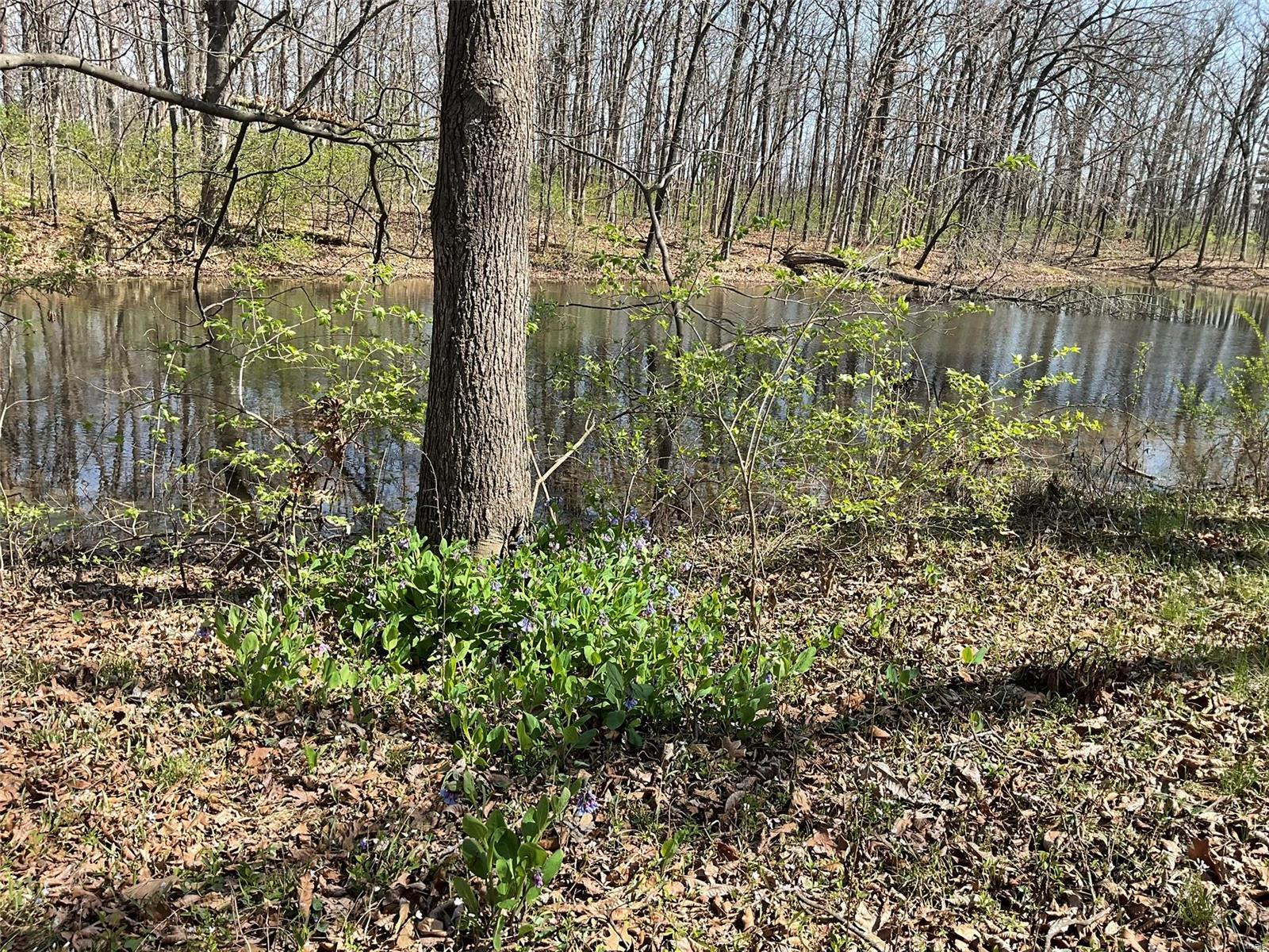 0 Libbra Road New Douglas, IL 62074 - Photo 3 of 15