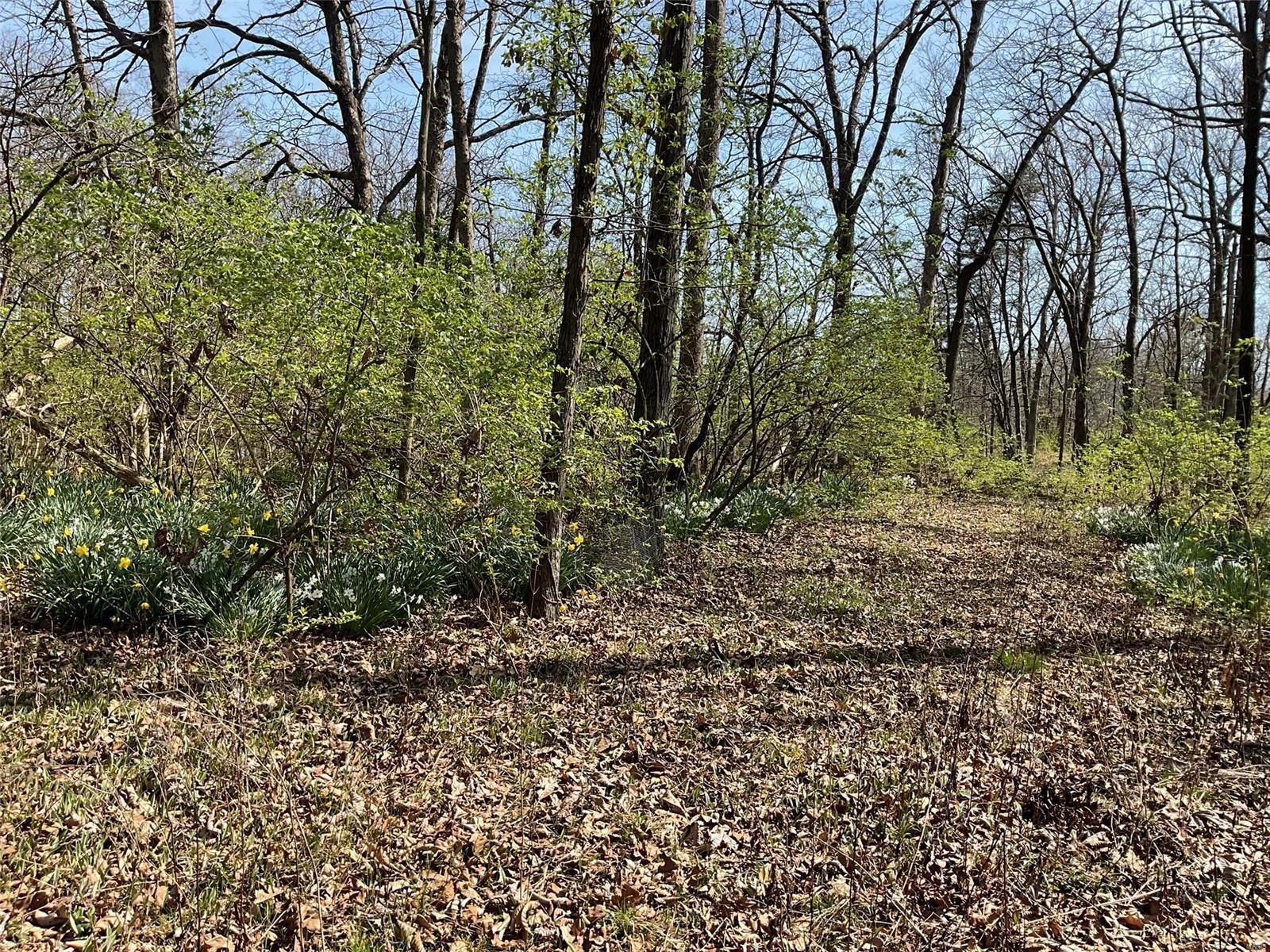 0 Libbra Road New Douglas, IL 62074 - Photo 7 of 15