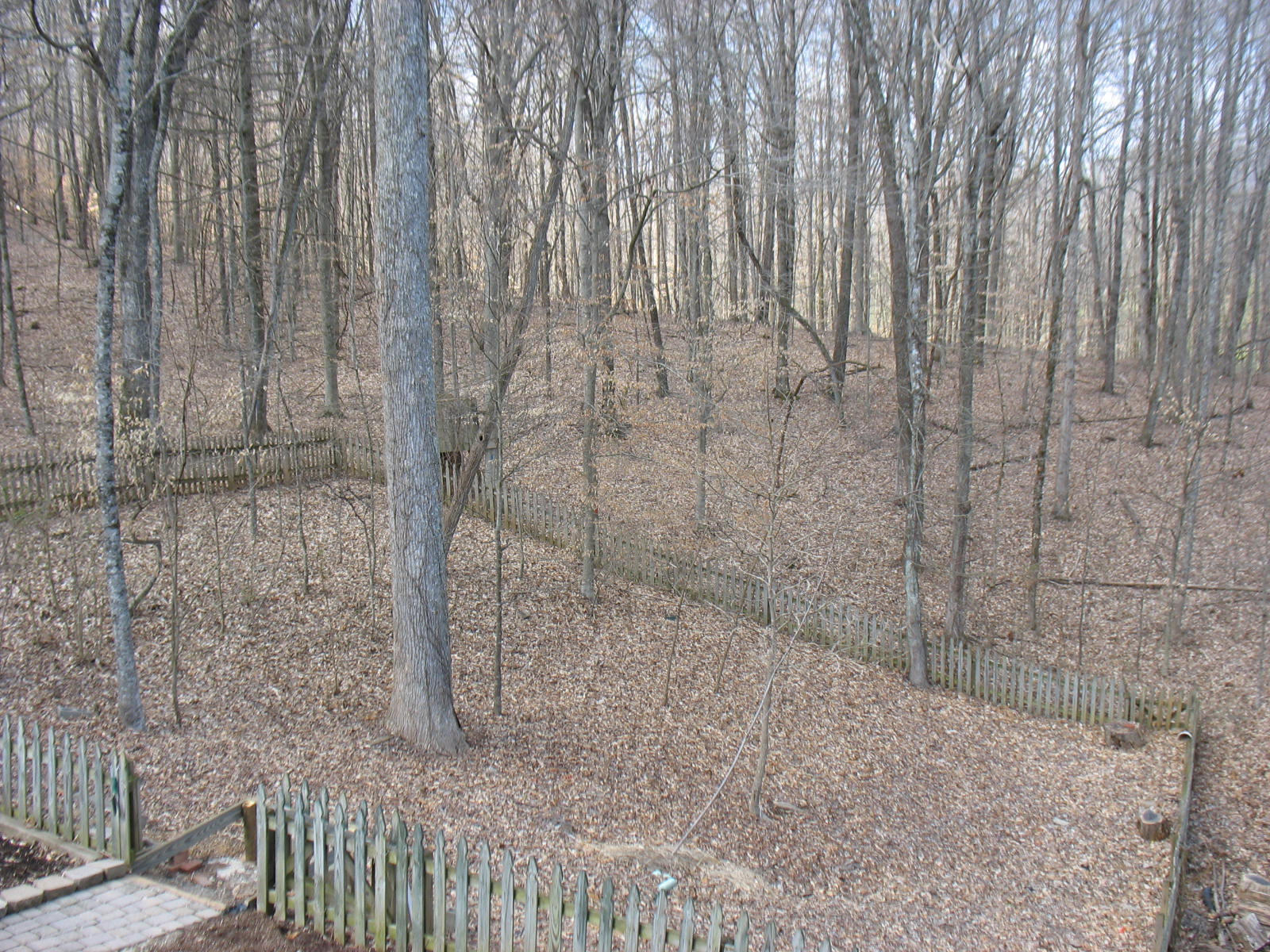 35 Rockingham Road Oak Ridge, TN 37830 - Photo 34 of 35 Baclyard View