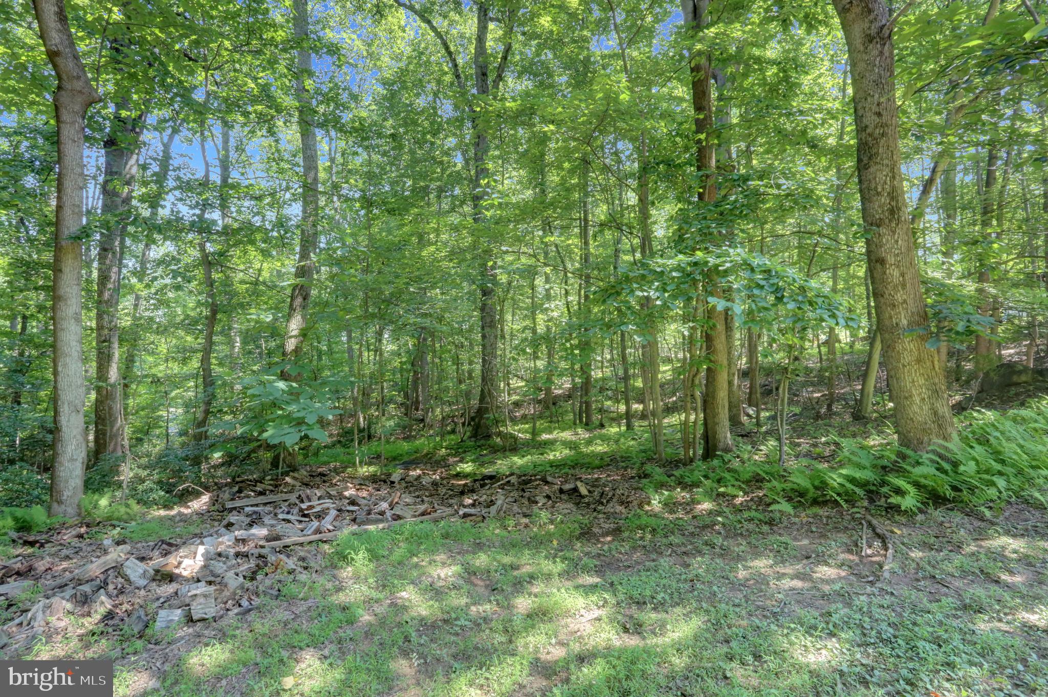 1332 Rock Ridge Road Jarrettsville, MD 21084 - Photo 53 of 71 Gallery Image 53