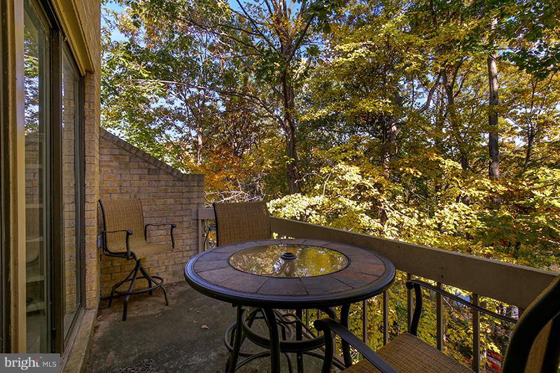 11166 Boathouse Court, Unit 70 Reston, VA 20191 - Photo 22 of 30 Exterior (Rear)