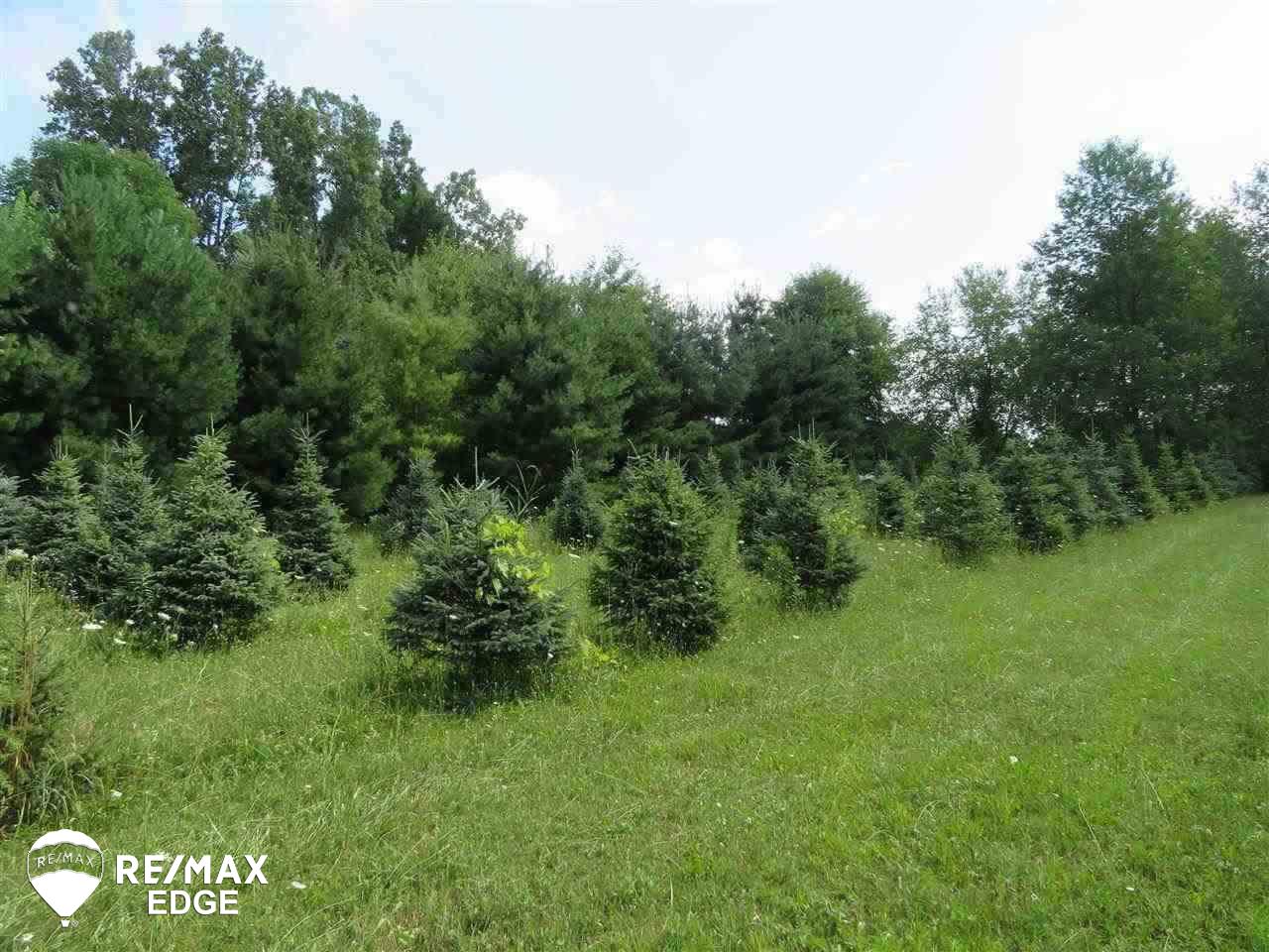 Parcel C East Wilson Road Otisville, MI 48463 - Photo 1 of 7