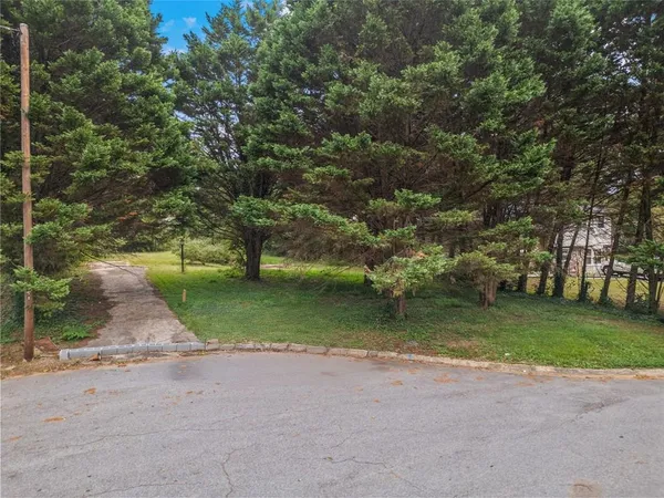 a view of a park with large trees