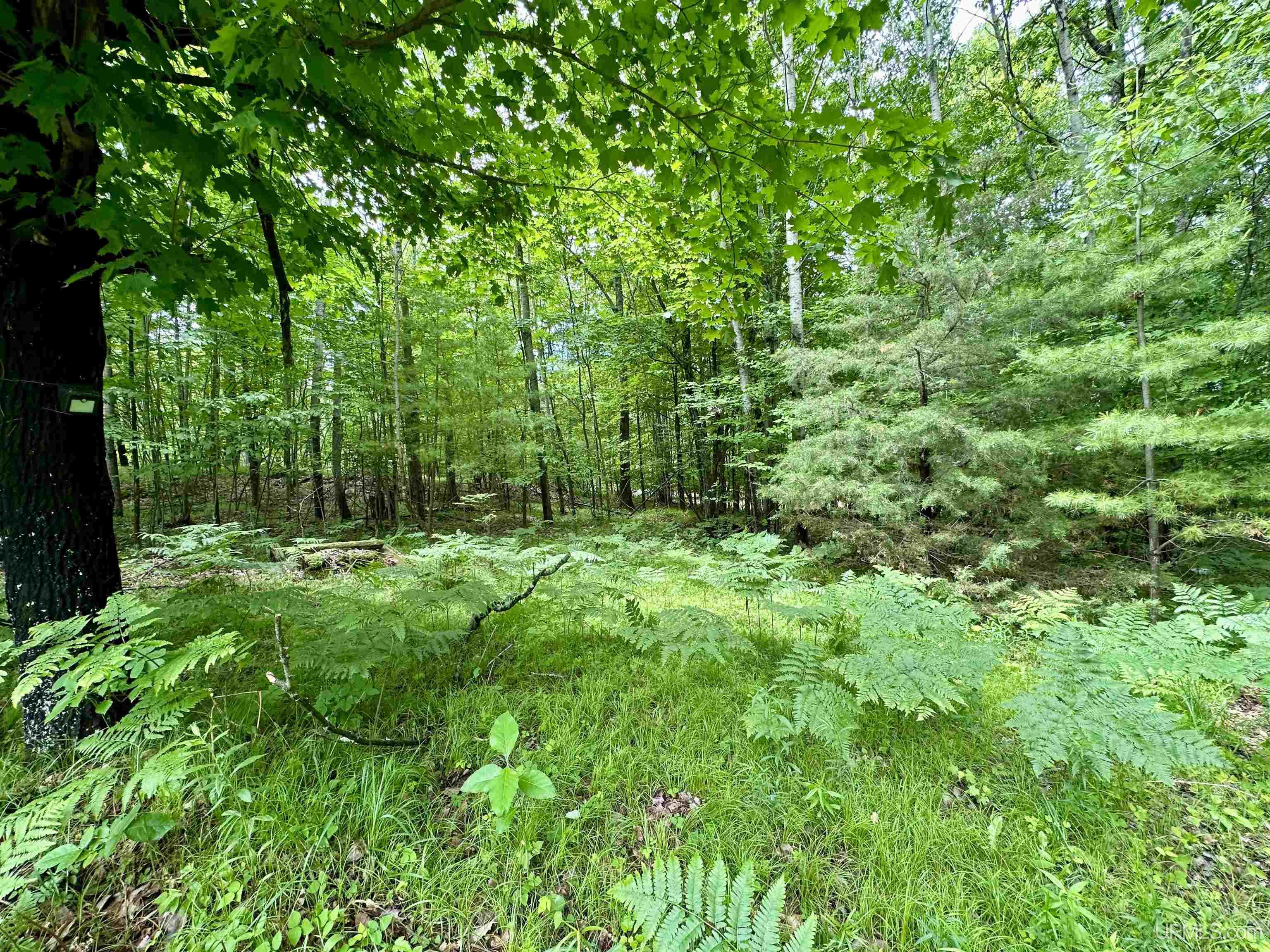 Tbd Tbd Homestead Road Vulcan, MI 49892 - Photo 10 of 10