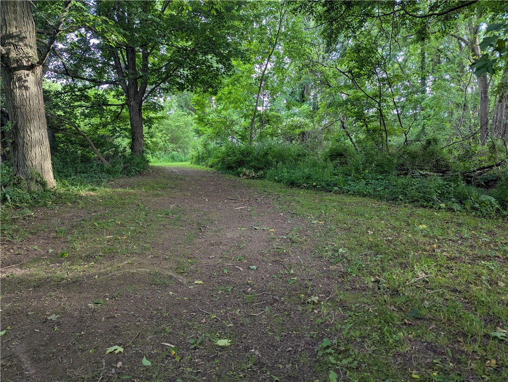 12252 Porter Road Medina, NY 14103 - Photo 19 of 22