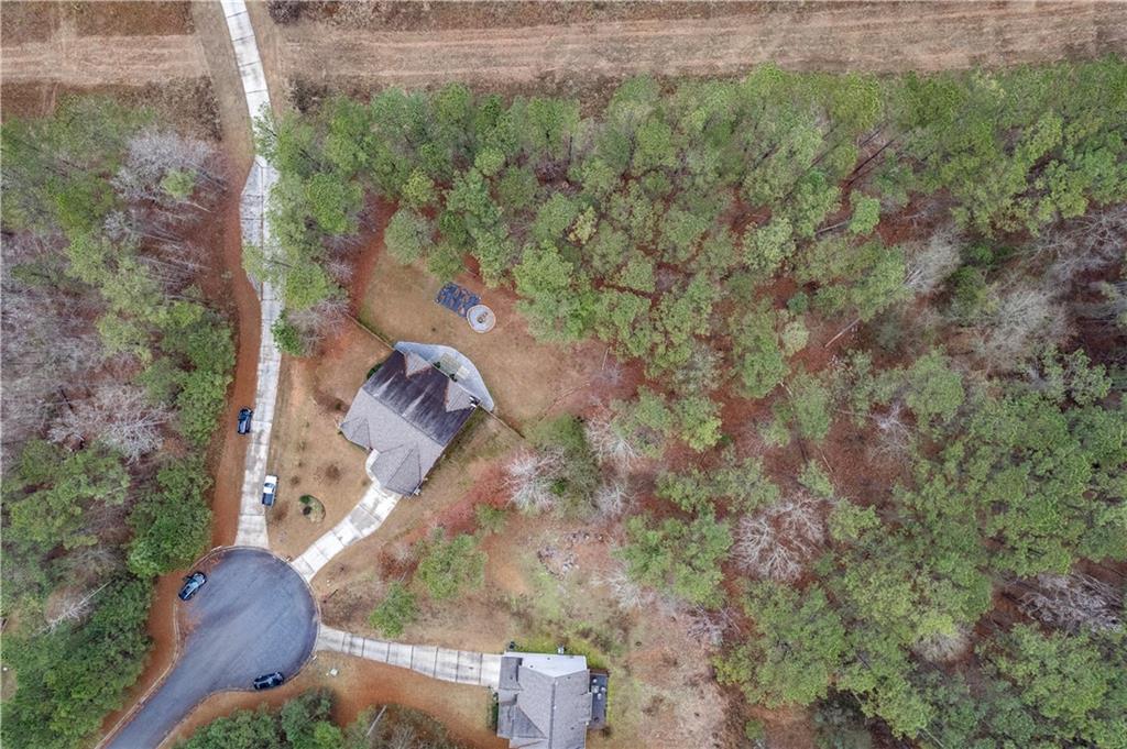 21 Sunny Point Newnan, GA 30263 - Photo 31 of 33 an aerial view of a house with a yard and a large tree
