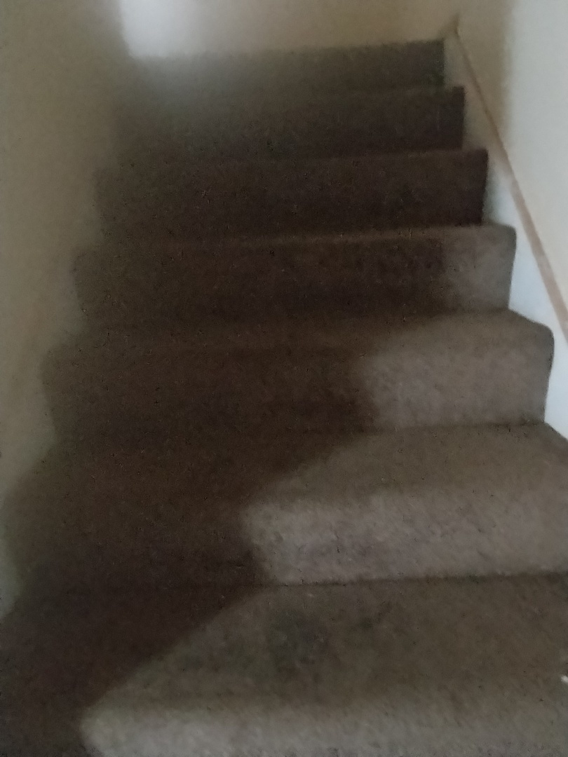 6955 South Normal Boulevard, Unit 3 Chicago, IL 60621 - Photo 4 of 11