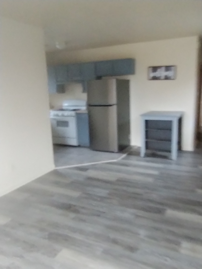 6955 South Normal Boulevard, Unit 3 Chicago, IL 60621 - Photo 5 of 11