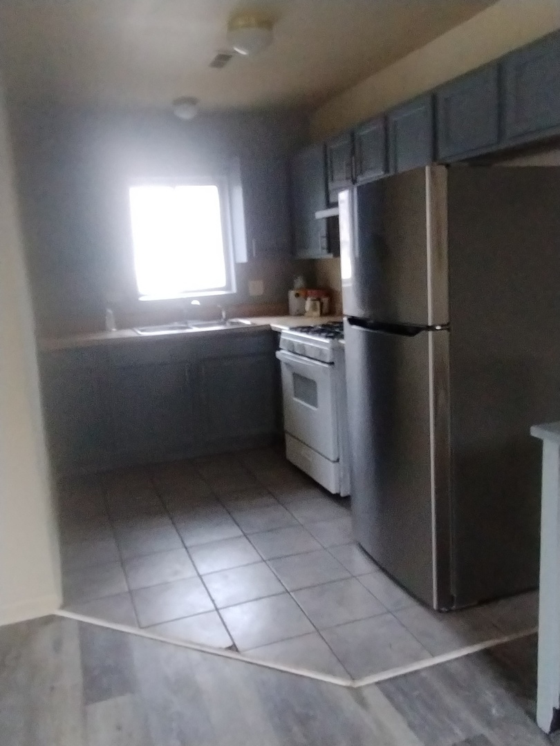 6955 South Normal Boulevard, Unit 3 Chicago, IL 60621 - Photo 6 of 11