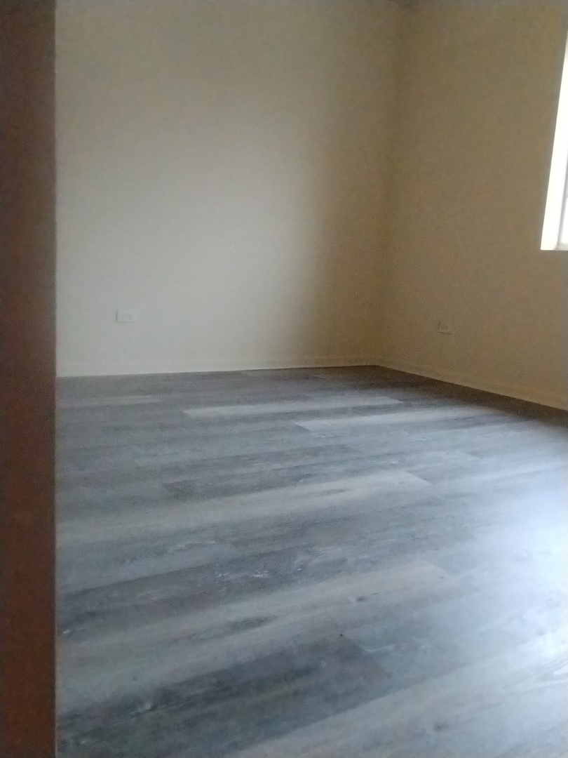 6955 South Normal Boulevard, Unit 3 Chicago, IL 60621 - Photo 10 of 11