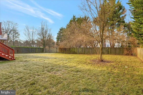 a view of a yard with a trees