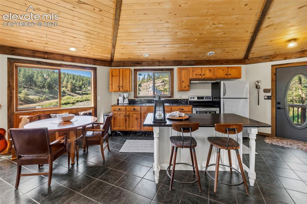 658 Conestoga Creek Road Florissant, CO 80816 - Photo 2 of 50