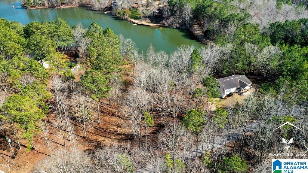 347 Murphy Dam Road, Unit LOT #16 Dadeville, AL 36853 - Photo 5 of 10