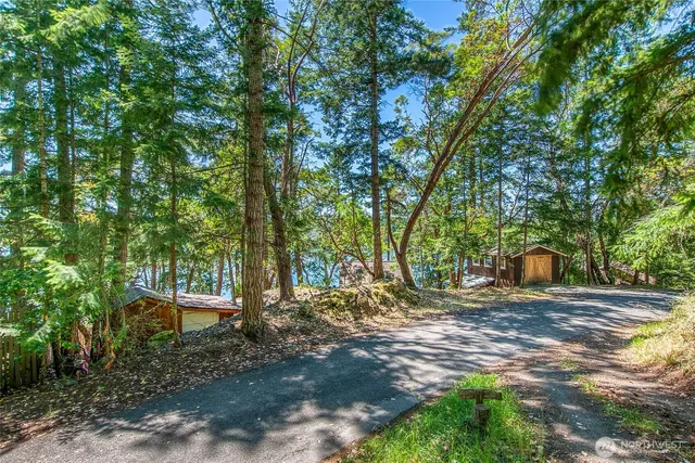 a view of a tree in the middle of a yard