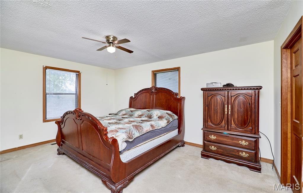 209 Timber Ridge Court Troy, MO 63379 - Photo 26 of 42