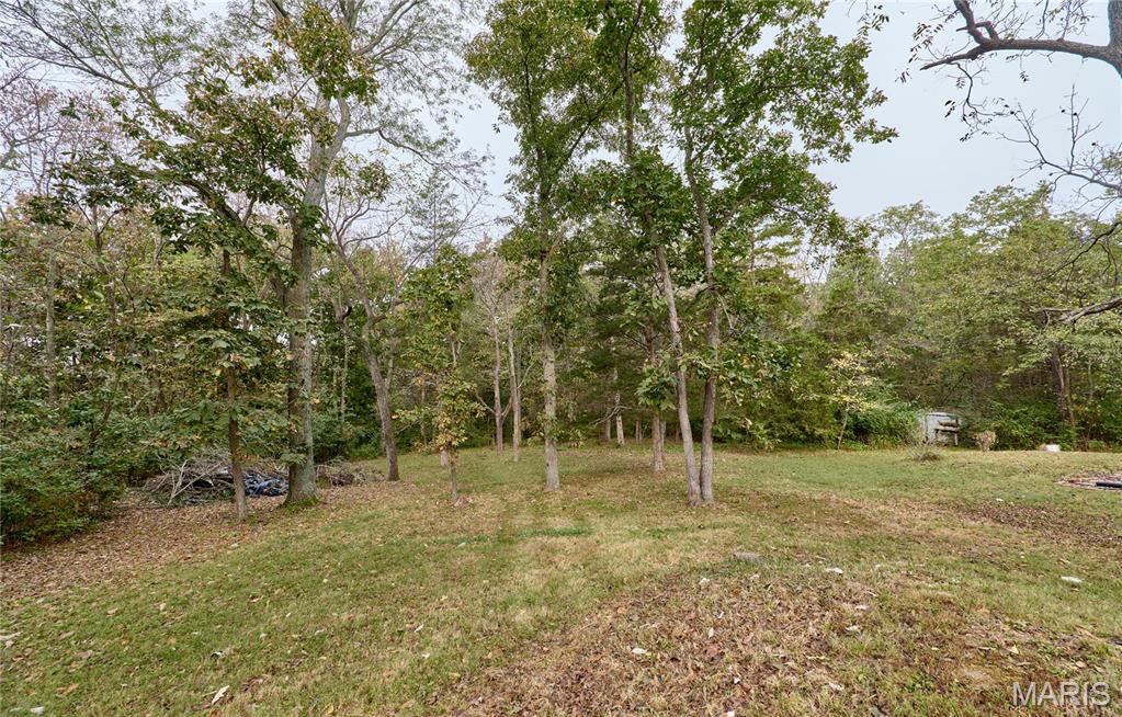 209 Timber Ridge Court Troy, MO 63379 - Photo 37 of 42