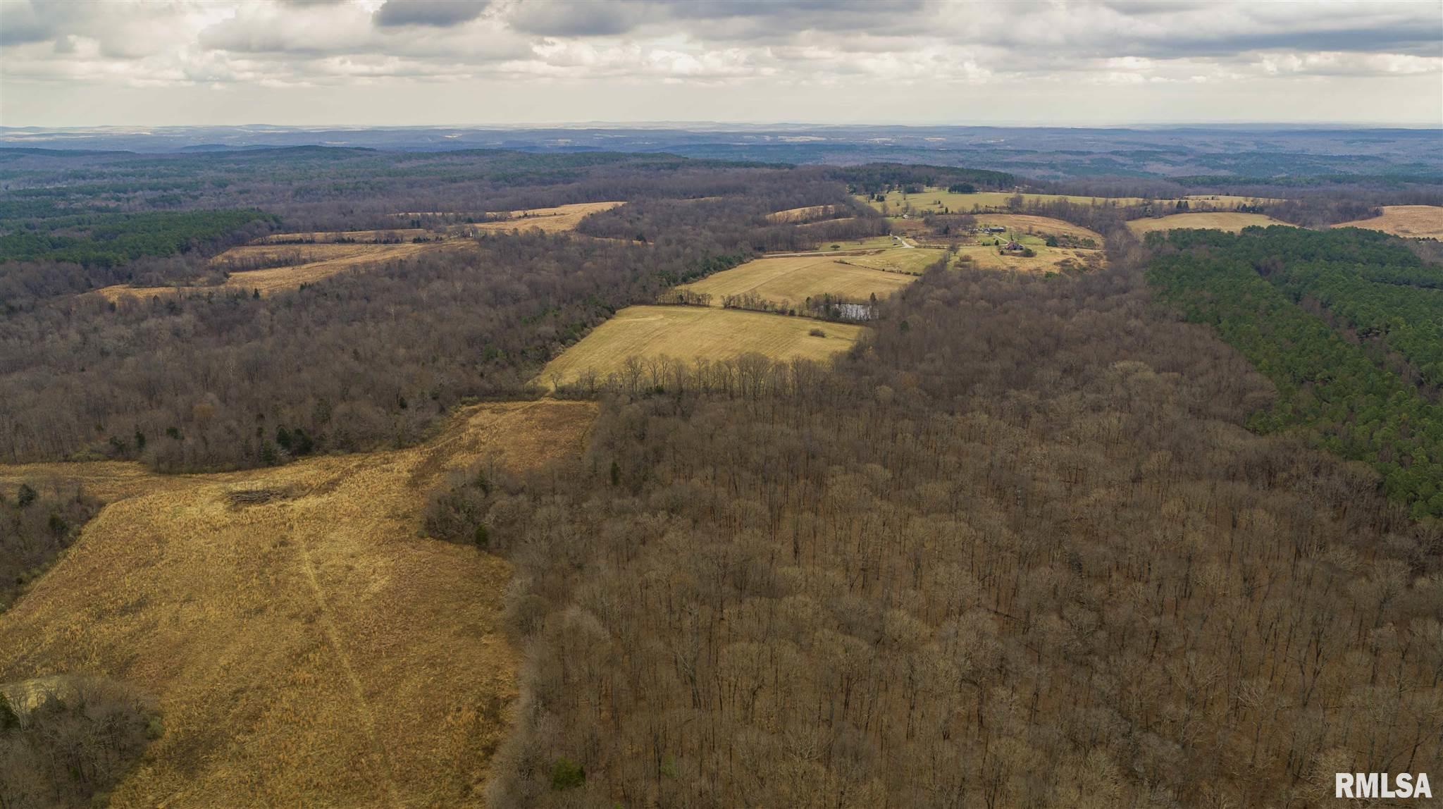 594 Raum Road Herod, IL 62947 - Photo 27 of 35