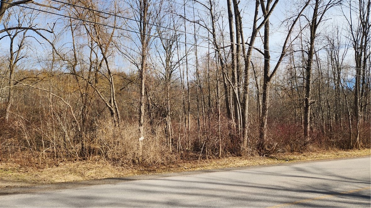 7042 Garner Road Huron, NY 14590 - Photo 1 of 12 Just about 6 acres of low land near road rising ap