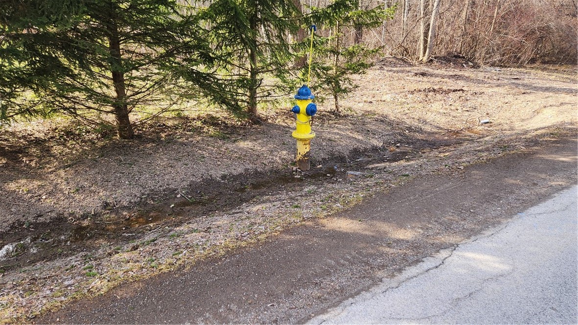 7042 Garner Road Huron, NY 14590 - Photo 3 of 12 Public water available on opposite side of road!