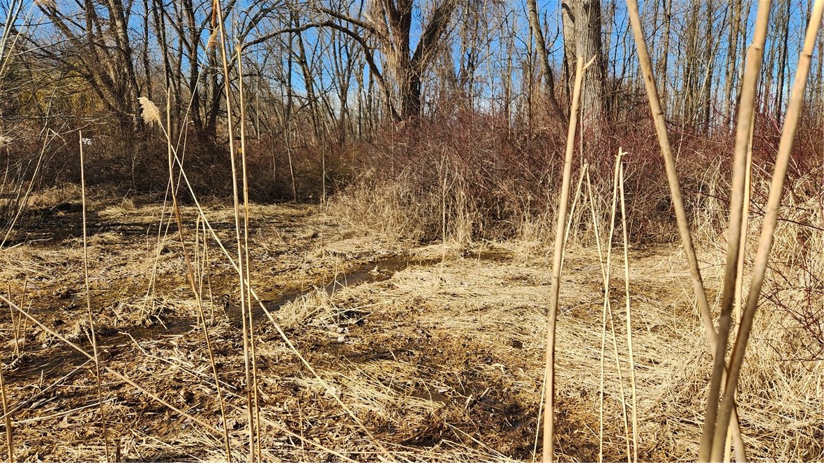 7042 Garner Road Huron, NY 14590 - Photo 4 of 12 Flowing water and reeds providing excellent spot f