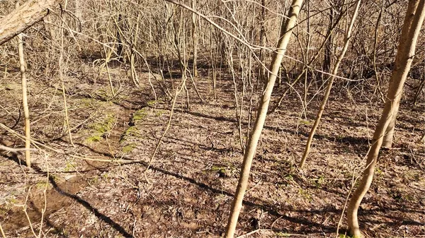 $42,000 | 7042 Garner Road, Huron, NY 14590