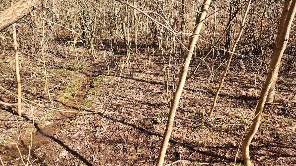 7042 Garner Road Huron, NY 14590 - Photo 6 of 12 More trails