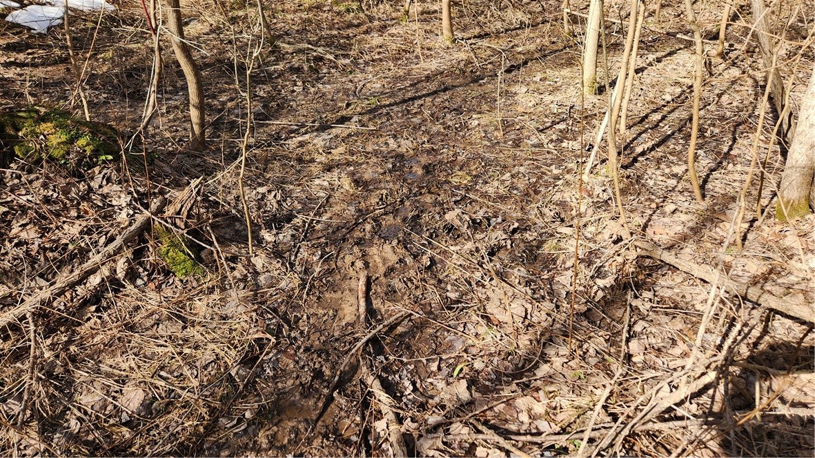 7042 Garner Road Huron, NY 14590 - Photo 7 of 12