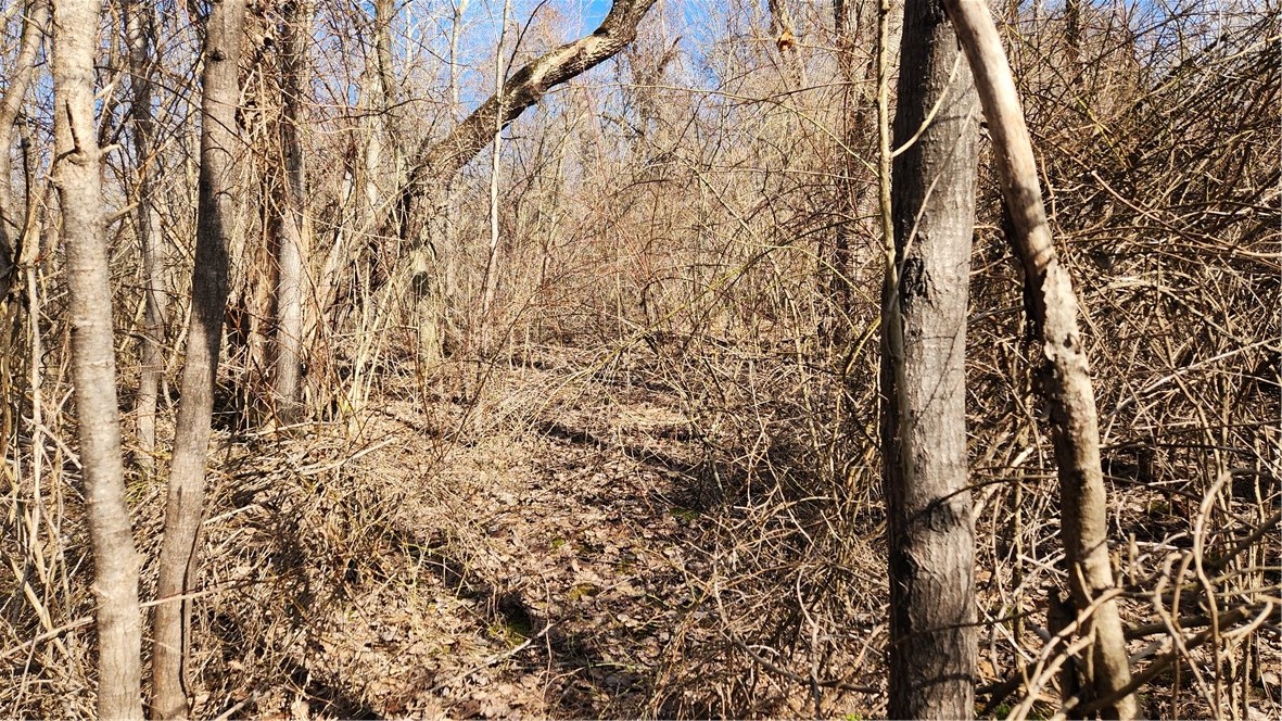 7042 Garner Road Huron, NY 14590 - Photo 8 of 12