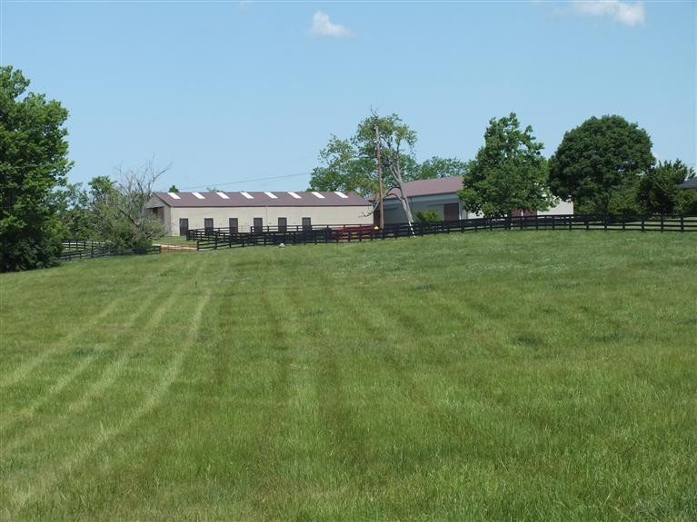 3920 Delaney Ferry Road Versailles, KY 40383 - Photo 3 of 48 Photo 3