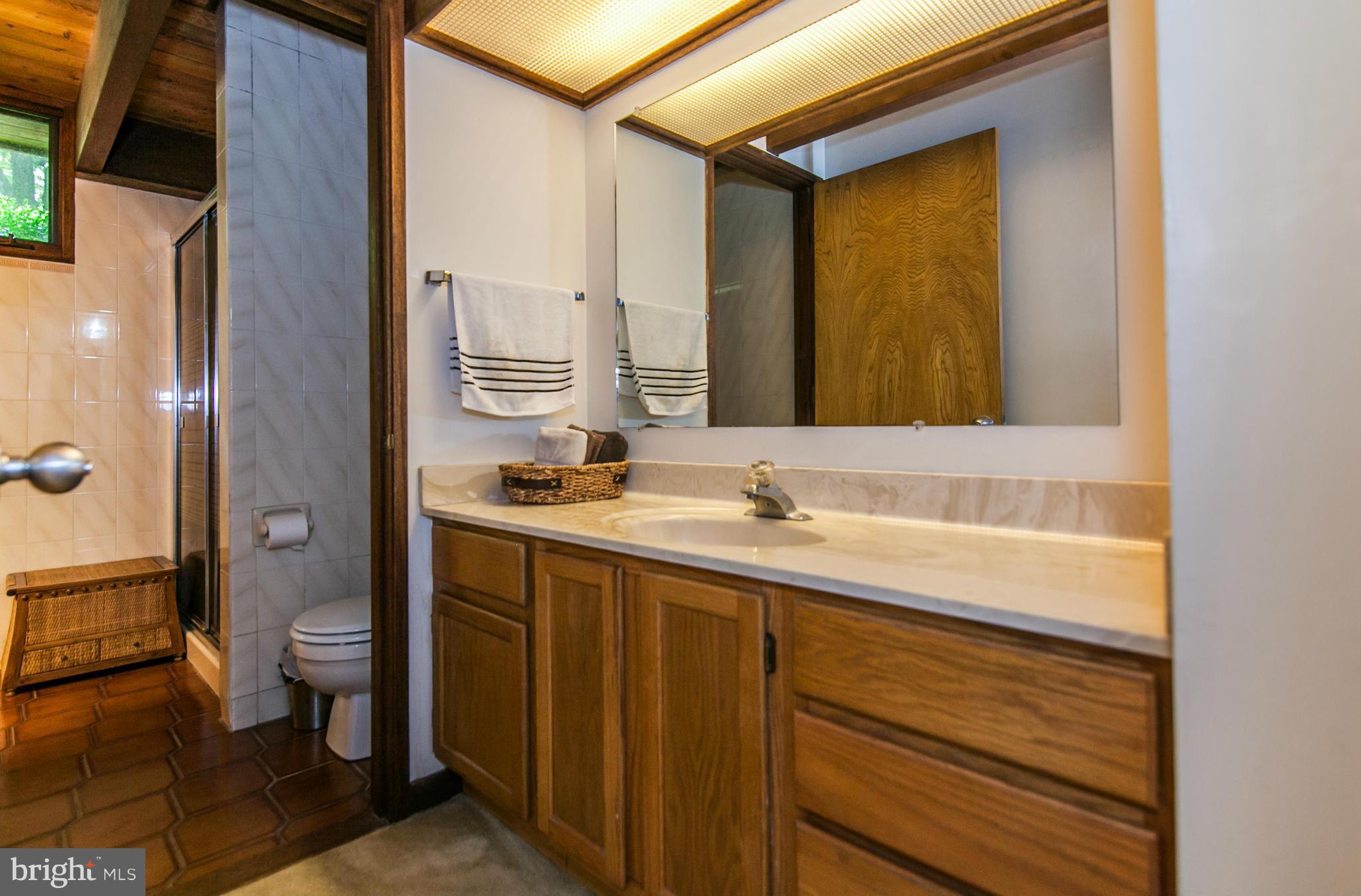 19285 Blue Ridge Mountain Road Bluemont, VA 20135 - Photo 14 of 30 Bath (Master)