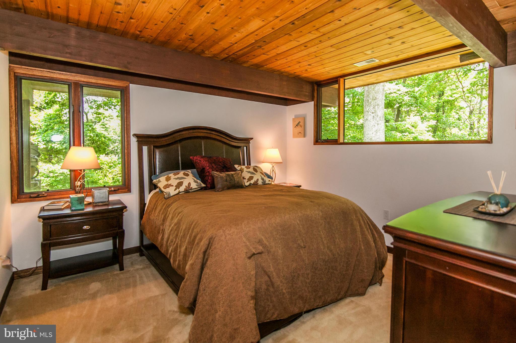 19285 Blue Ridge Mountain Road Bluemont, VA 20135 - Photo 15 of 30 Guest Bedroom
