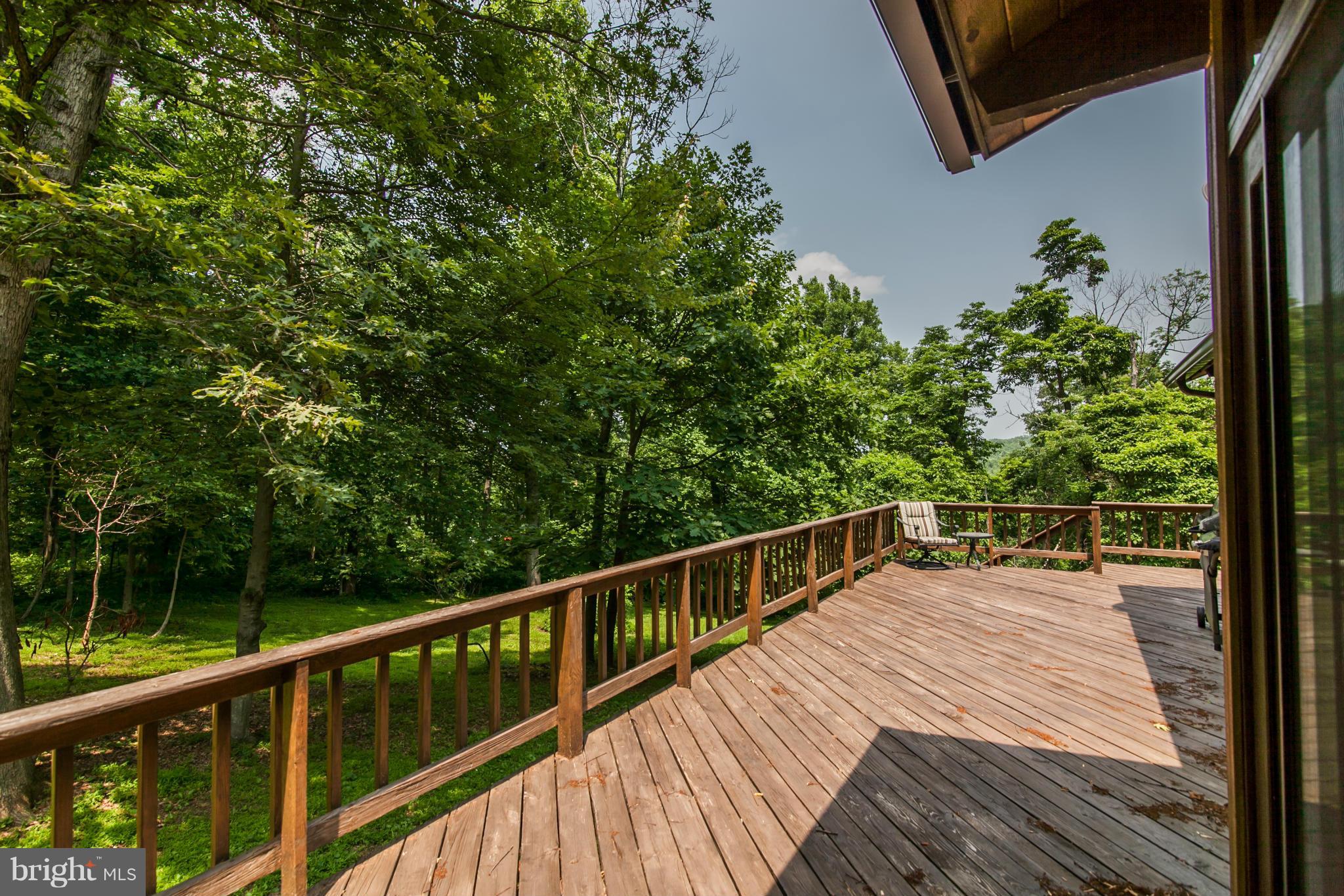 19285 Blue Ridge Mountain Road Bluemont, VA 20135 - Photo 17 of 30 Deck view