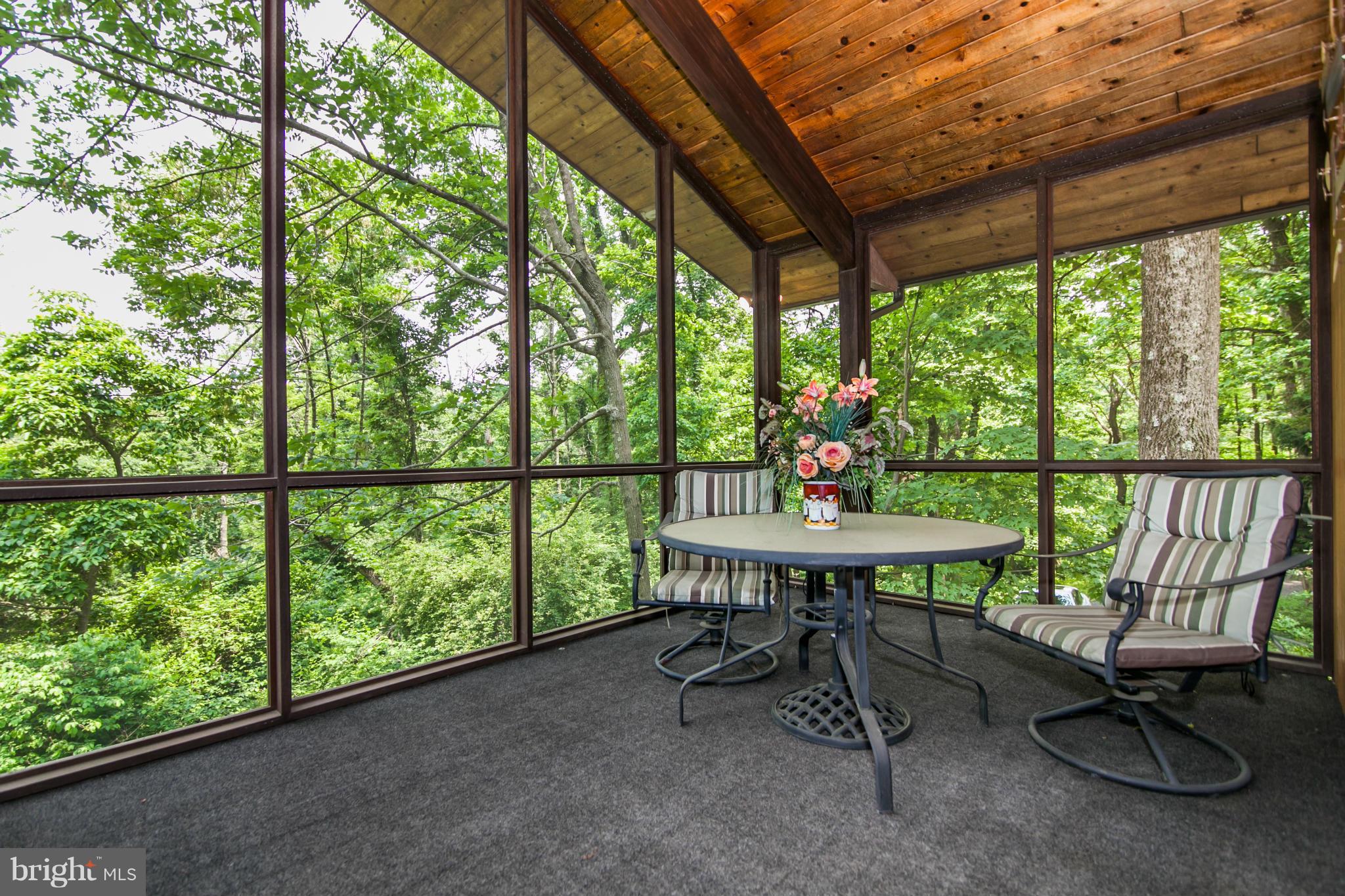 19285 Blue Ridge Mountain Road Bluemont, VA 20135 - Photo 18 of 30 Screened Porch