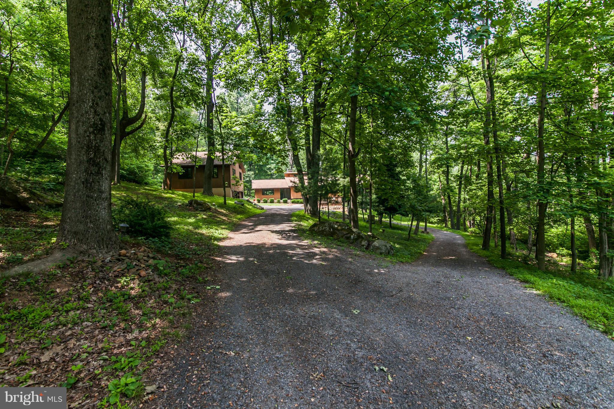 19285 Blue Ridge Mountain Road Bluemont, VA 20135 - Photo 24 of 30 Driveway